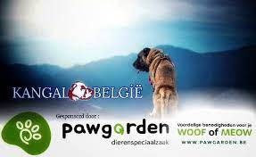 dierenspeciaalzaak belgië