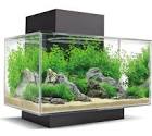 aquarium kopen
