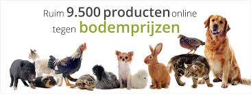 dieren winkel online