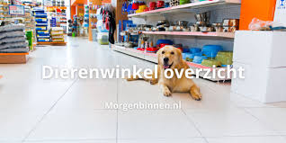 dierenwinkel morgen in huis