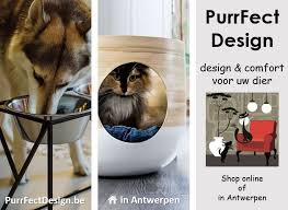 hippe dierenwinkel