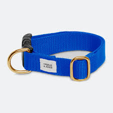 halsband hond met naam