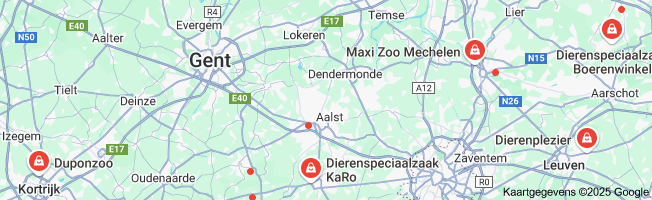 dierenspeciaalzaak in de buurt