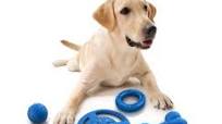 honden speeltjes