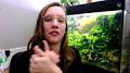 aquarium plantenvoeding