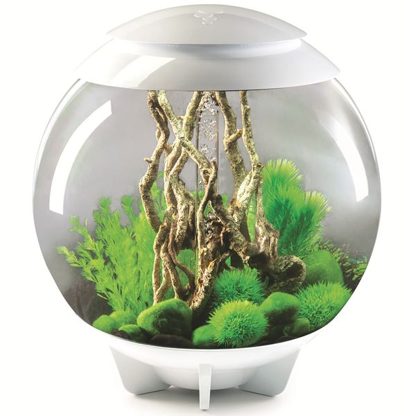biorb aquarium verlichting