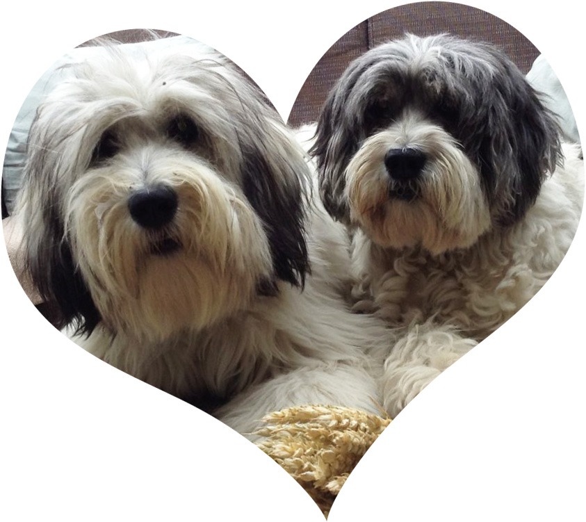 exclusieve dierenwinkel