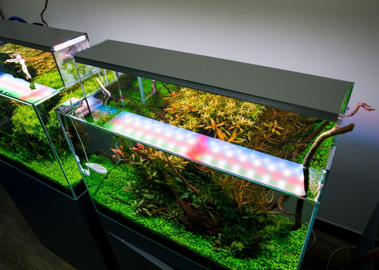 t8 aquarium verlichting