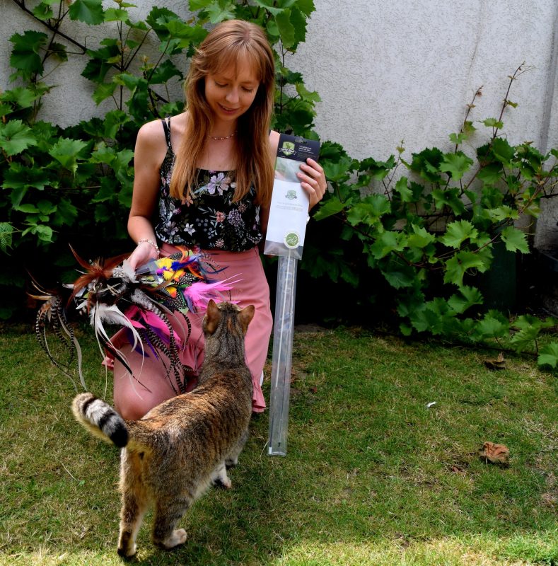 dierenspeciaalzaak katten