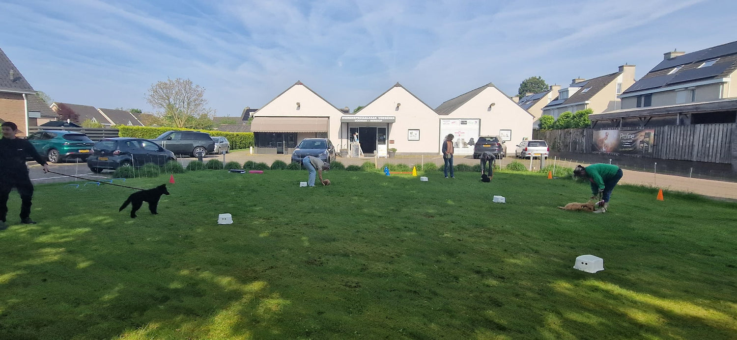 dierenspeciaalzaak molenkamp