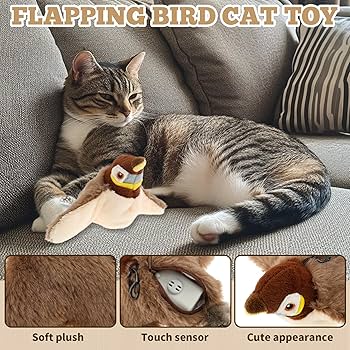 elektrisch kattenspeeltje