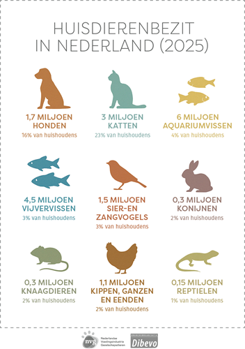 huisdier online