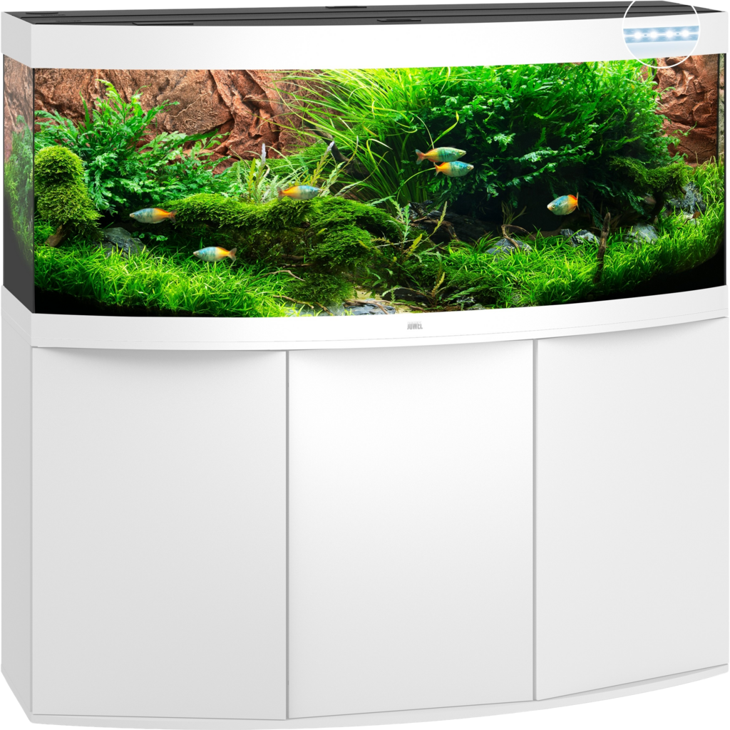 aquarium verlichting juwel