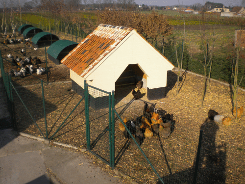 dierenspeciaalzaak verhoog