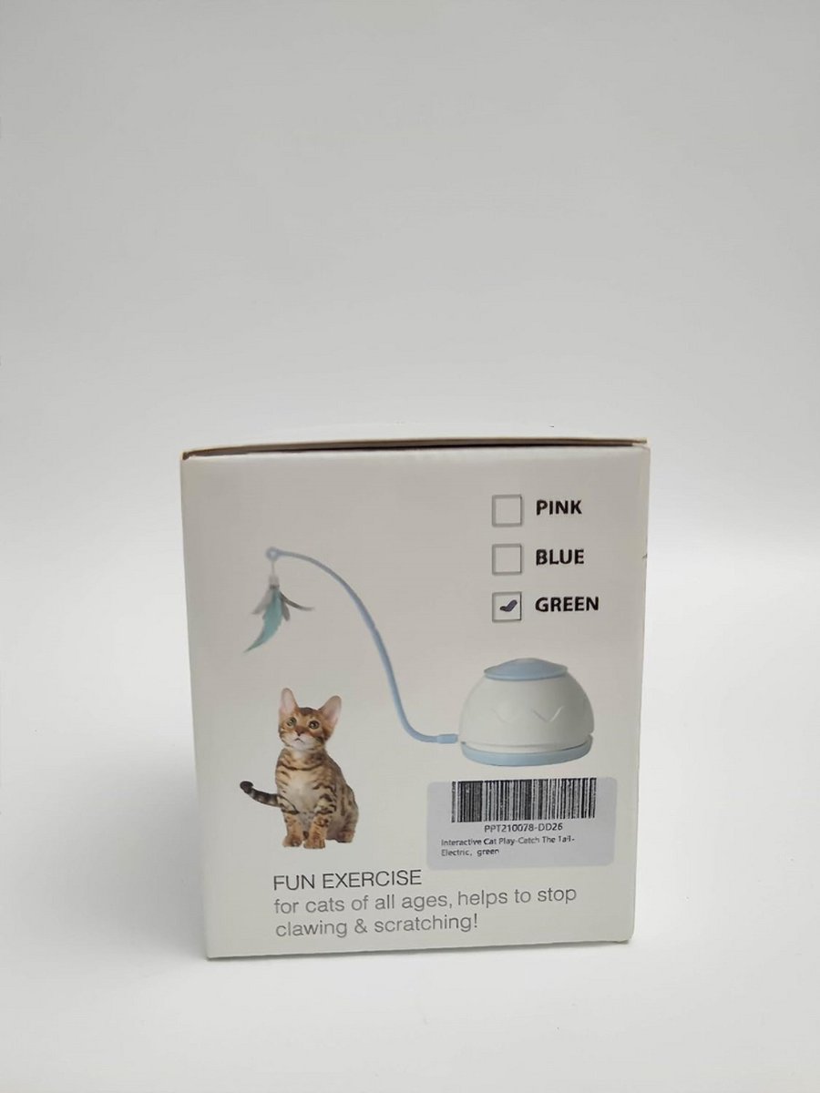 elektrisch kattenspeeltje