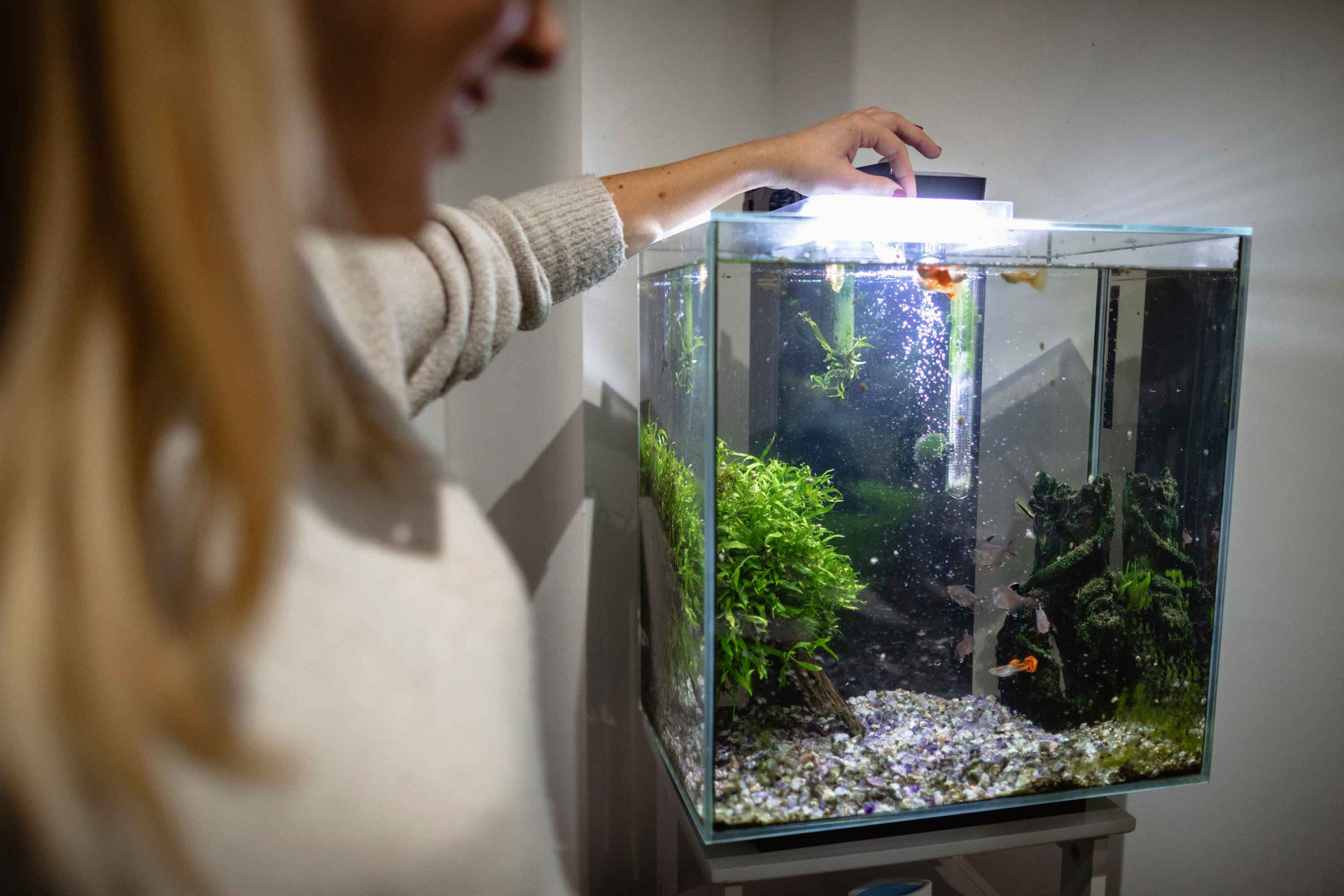 aquarium-filters