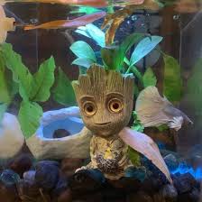 decoratie aquarium