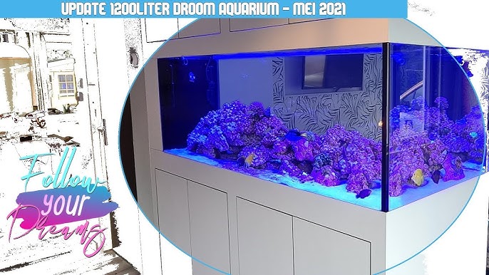 zoutwateraquarium