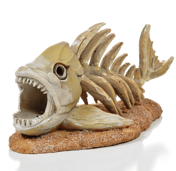 aquarium-decoratie