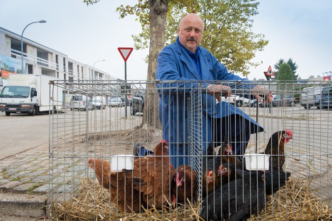 dierenwinkel heist-op-den-berg