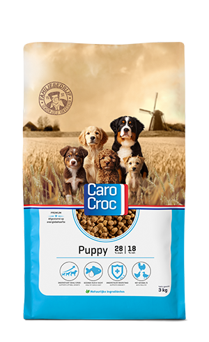 puppy voeding