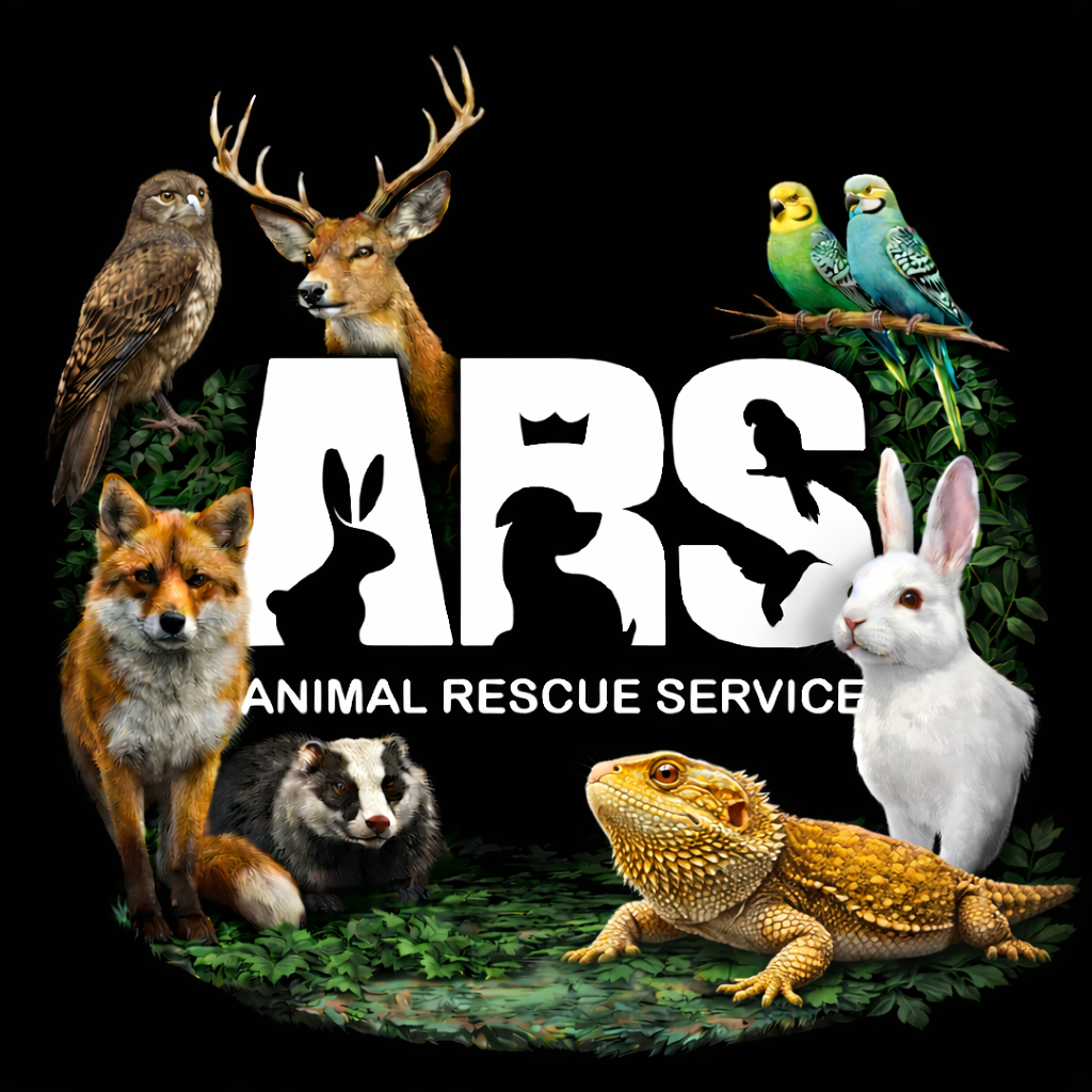 dierenspeciaalzaak oost vlaanderen