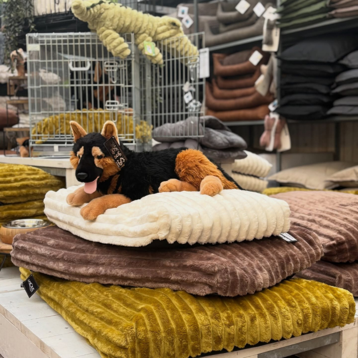 dierenwinkel heultje