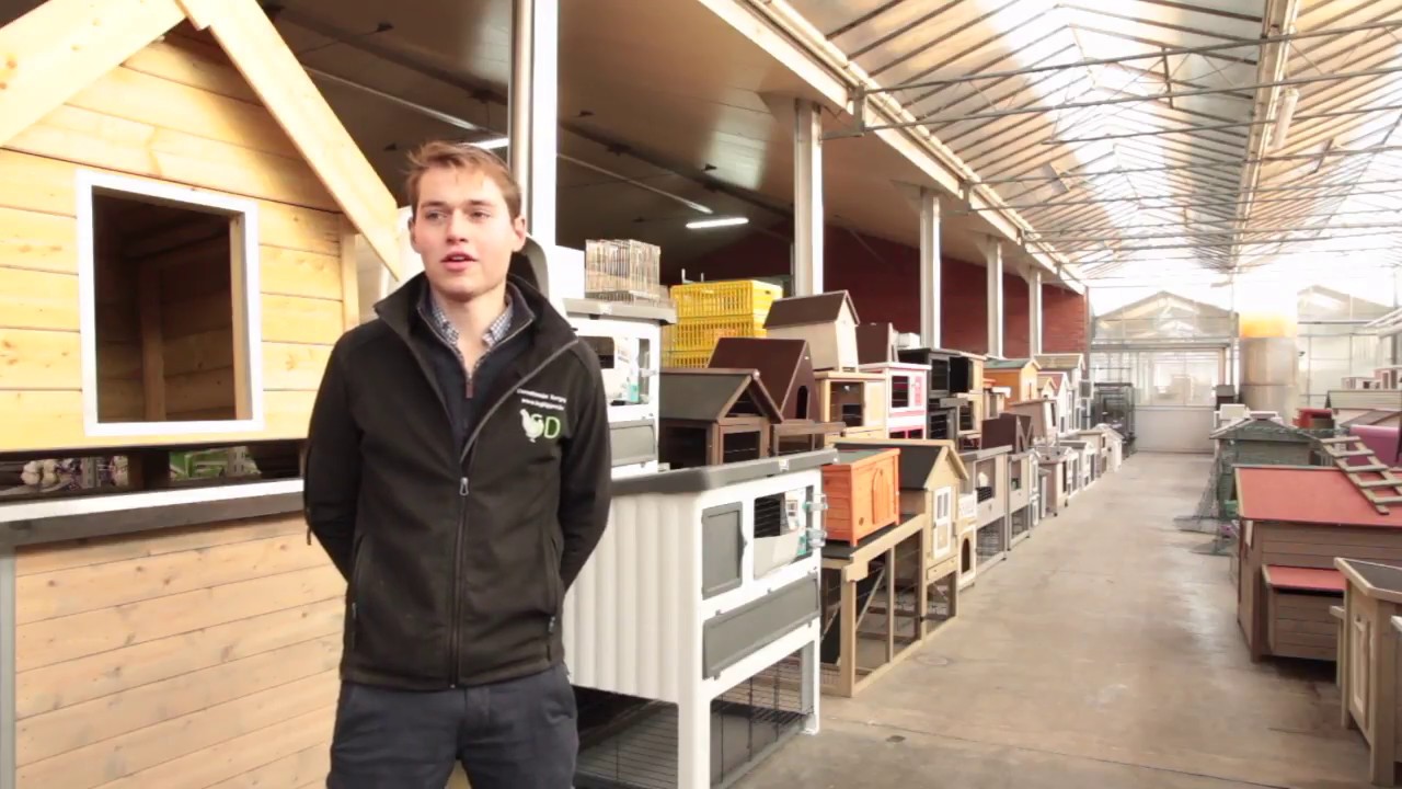 dierenwinkel oost vlaanderen